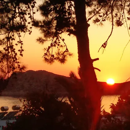 Aphrodite Kalymnos 4*