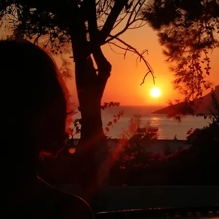 Aphrodite Kalymnos Ξενοδοχείο με διαμερίσματα Μυρτιές