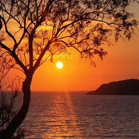 Aphrodite Kalymnos 4* Μυρτιές