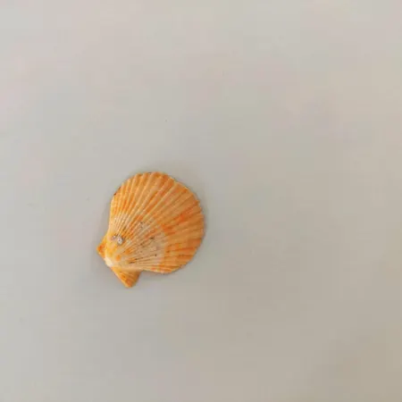 Aphrodite Kalymnos Μυρτιές