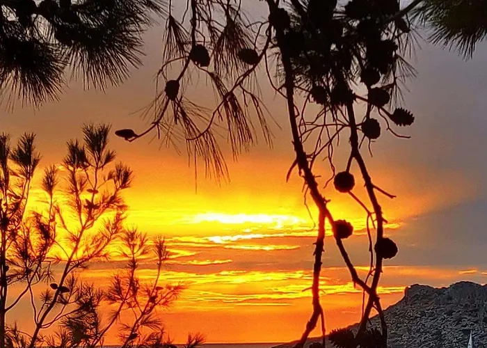 阿芙罗狄蒂公寓式酒店