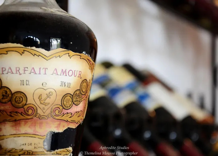 阿芙罗狄蒂公寓式酒店